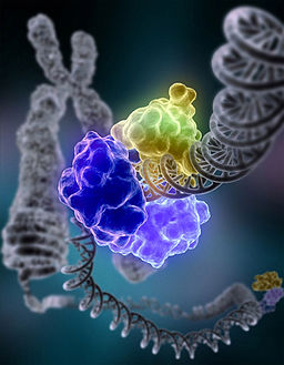 Agilis Biotherapeutics And Collaboration: Rare Disease Gene Therapies